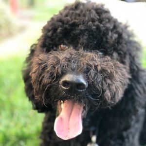 Meet your Posher, Bianca